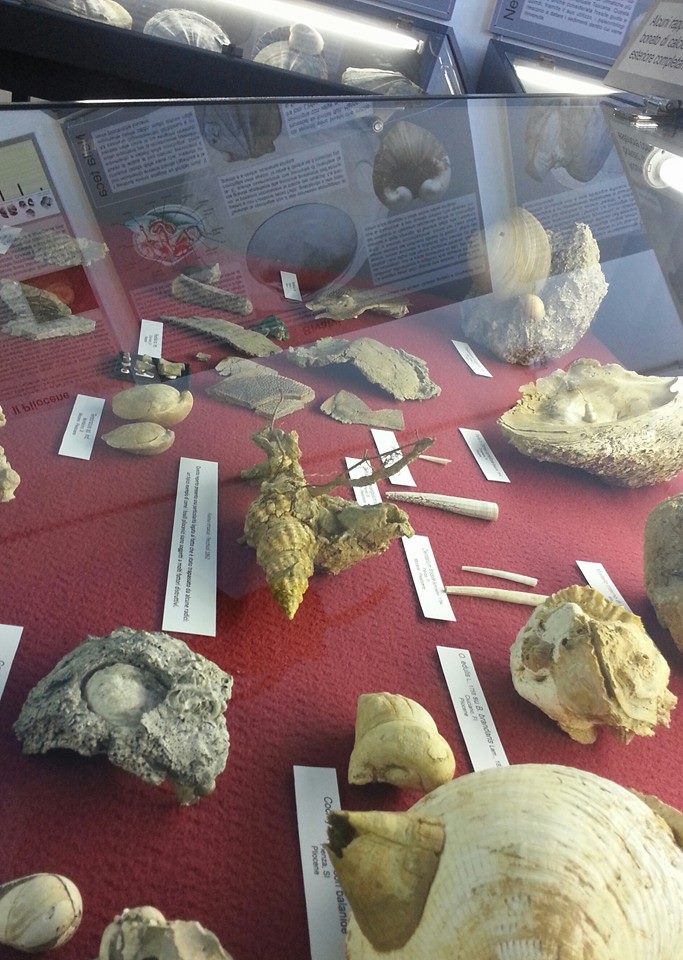 Un pezzo veramente particolare